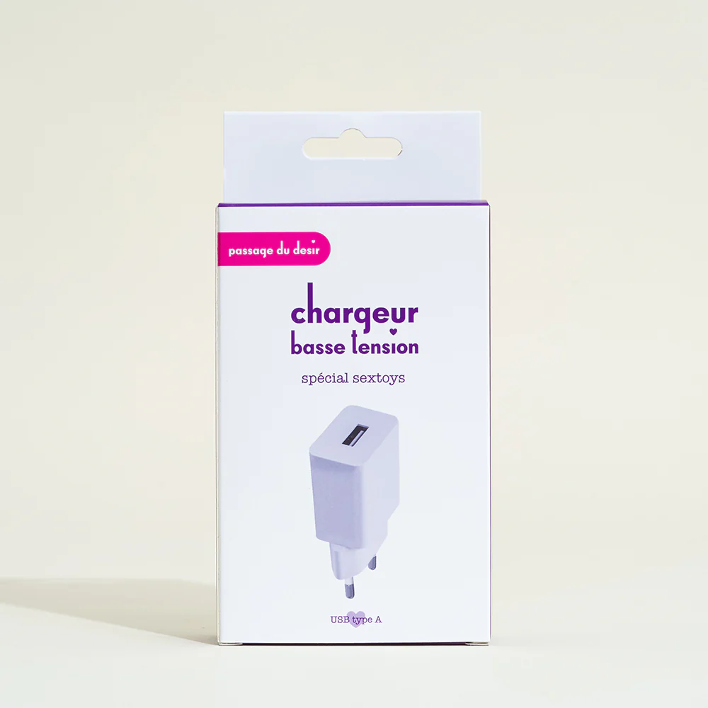 Chargeur basse tension Passage du Désir - Image 3