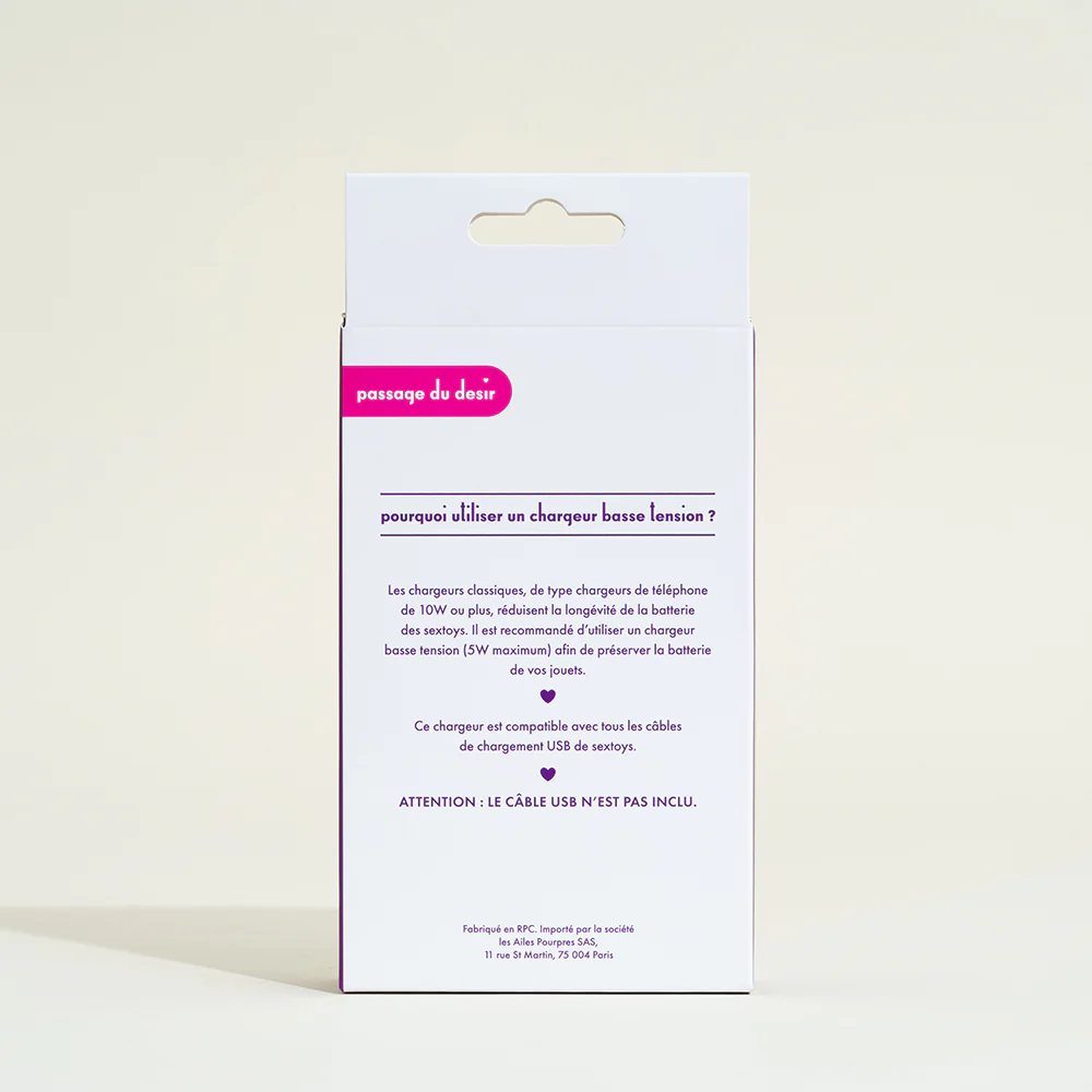 Chargeur basse tension Passage du Désir - Image 4