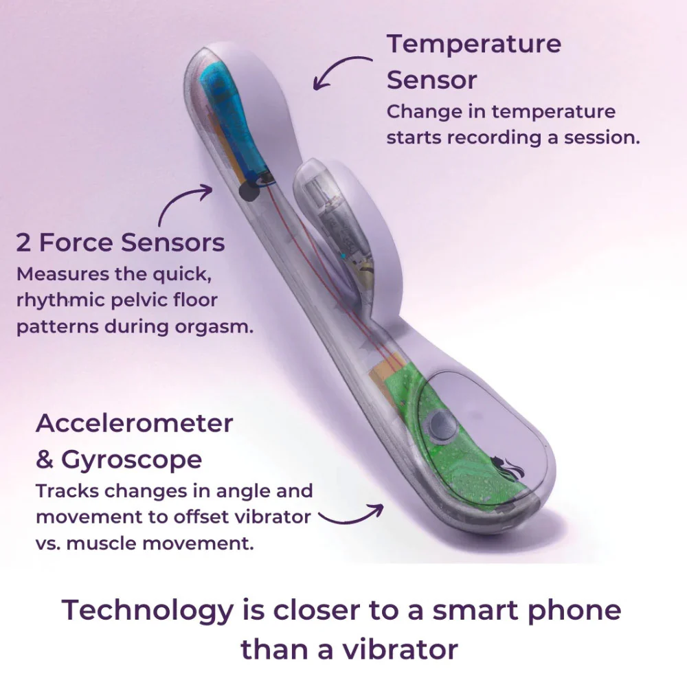 Lioness Rabbit 2.0 - Image 3