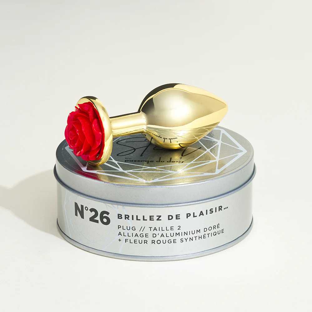 Plug métal bijou rose Steel - Image 6